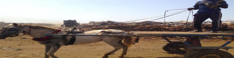 FORMAZIONE AD AGRICOLTORI E ALLEVATORI SENEGALESI. L’UNIONE VALDERA E’ LA CAPOFILA DEL PROGETTO A SOSTEGNO DEL COMUNE DI MALIKA